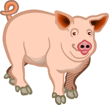 No Animal Fats